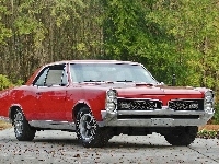 GTO, Samochód, Zabytek, Pontiac, Czerwony, 1967