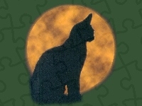 kotek , Halloween, księżyc