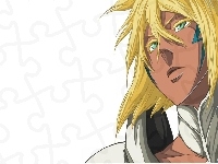 Arrancar, Haribel, Espada