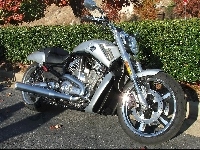 Akcesoryjne, Harley Davidson V-Rod Muscle, Dodatki
