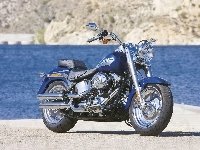 Harley Davidson Fat Boy, Kierunkowskazy