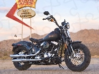 Harley Davidson Softail Cross Bones