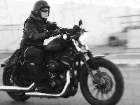 Gatunku, Klasyka, Harley Davidson Sportster 883 Iron