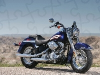 Harley Davidson Softail, Reflektor