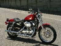 Harley Davidson XL883 Sportster