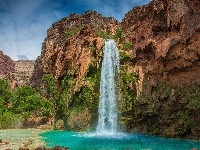 Wodospad Havasu, Drzewa, Stany Zjednoczone, Stan Arizona, Skały