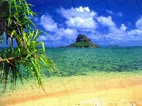 Wyspa, Hawaje, Morze