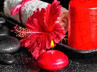 Czerwony, SPA, Świece, Hibiskus, Kamienie, Ręcznik, Kwiat