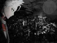 Bleach, Miasto, Hitsugaya