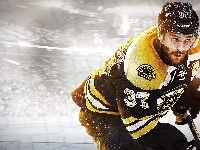 Hokej, Patrice Bergeron