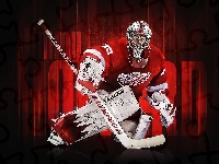 Detroit Red Wings, Hokej, Bramkarz, NHL