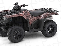2021, Honda FourTrax Rancher, Quad