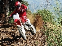 Motocross, Honda CRF450R