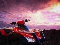 Honda, Quad