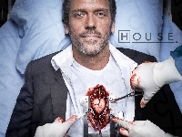 Dr House, Serce