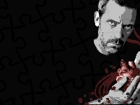 Dr. House, Serce