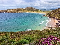 Hrabstwo Donegal, Irlandia, Półwysep Rosguill, Wybrzeże, Plaża, Roślinność, Morze, Kwiaty