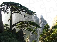 Huang Shan, Góra, Chiny