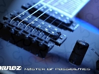 Ibanez, Duncan, Gitara, Elektryczna, Ibanez RGR321