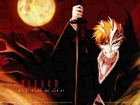 Kurosaki Ichigo, Hollow