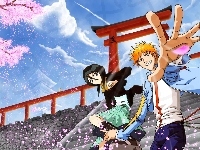 Rukia Kuchiki, Ichigo Kurosaki, Bleach