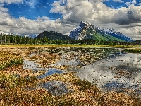 Chmury, Zarastające, Góry, Iglasty, Bagno, Jezioro, Las