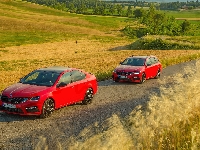 Samochody, Skoda Octavia III RS, Czerwone, Pola, Dwa, Skoda Octavia III Kombi, Droga