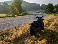 Drzewa, Droga, Motocykl Indian