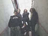 Insane Asylum, cały zespół