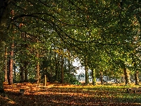 Ławeczki, Hrabstwo Monaghan, Irlandia, Castleblayney, Rzeka, Park