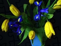 Irysy, Wazon, Żółte, Tulipany, Niebieski