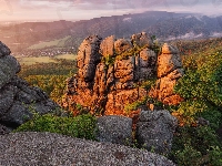Drzewa, Góry, Czechy, Izerskie, Mgła, Skały