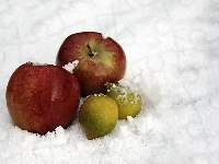 Cytrynki, Jabłka, Śnieg
