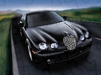 Jaguar, Czarny, E-Type