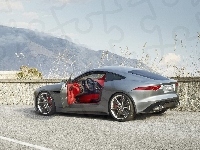 Jaguar C-X16, Wnętrze