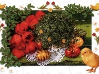 jajeczka, Wielkanoc, Tulipany, kurczaczek