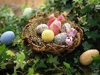 Jajka, Gniazdko, Wielkanocne, Rośliny