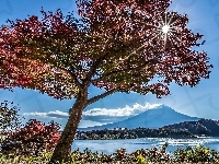 Jezioro, Japonia, Góra, Drzewa, Słońca, Jesień, Promienie, Fuji