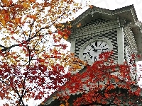 Japonia, jesień, wieża zegarowa, Sapporo, liście