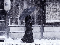 Parasol, Japonka, Śnieg