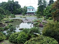 Japoński Domek, Ogród, Zieleń