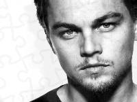 jasne oczy, Leonardo DiCaprio, bródka