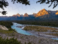 Las, Drzewa, Rzeka, Alberta, Park Narodowy Jasper, Canadian Rockies, Kanada, Góry