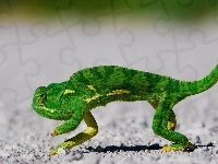 Zielony, Kameleon