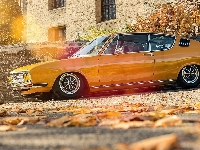 1972, Audi 100 Coupe S, Mrs Orangina, Jesień