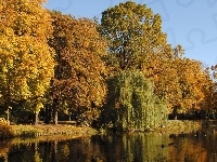 Jesień, Łazienki