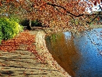 Jesień, Drzewa, Rzeka, Bulwar, Liście