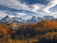 Jesień, Patagonia, Chile, Park Narodowy Torres del Paine, Drzewa, Góry