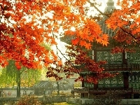 Jesień, Korea, Pałacyk, Gałęzie, Seul