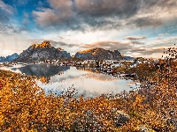 Drzewa, Lofoty, Norwegia, Jesień, Morze, Góry